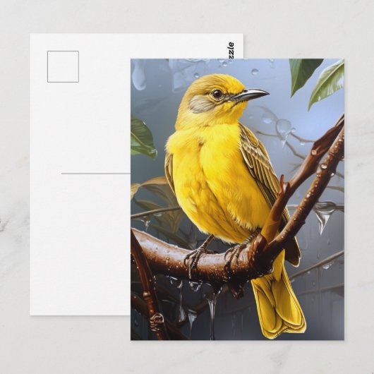 Hübscher Gelbvogel Postkarte (Vorne/Hinten)