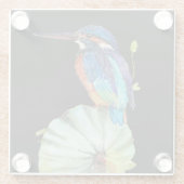 Hübscher gemalter Kolibri auf schwarz Glasuntersetzer (Rückseite)