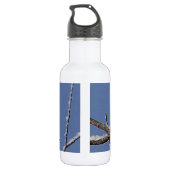 Hübscher gepunkteter Spechte Edelstahlflasche (Rückseite)