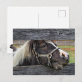 Hübscher Gesichtsschlüssel Postkarte (Vorne/Hinten)