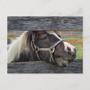 Hübscher Gesichtsschlüssel Postkarte