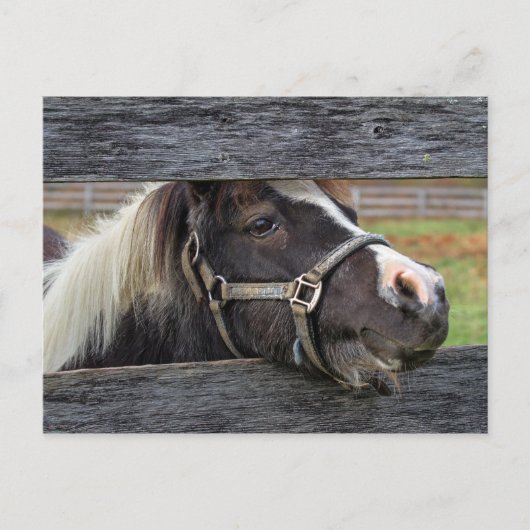 Hübscher Gesichtsschlüssel Postkarte (Vorderseite)