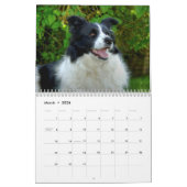 Hübscher Grenz-Kollie-Dog-Kalender Kalender (Mär 2026)