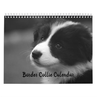 Hübscher Grenz-Kollie-Dog-Kalender Kalender