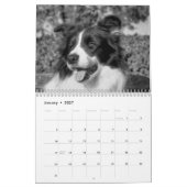 Hübscher Grenz-Kollie-Dog-Kalender Kalender (Jan 2027)