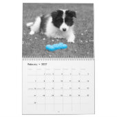 Hübscher Grenz-Kollie-Dog-Kalender Kalender (Feb 2027)