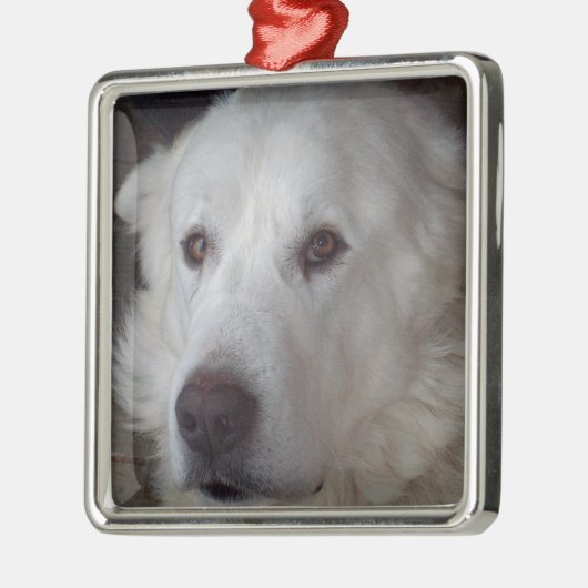 Hübscher große Pyrenäen-Hund Ornament Aus Metall (Links)