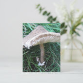 Hübscher großer Pilz Postkarte (Stehend Vorderseite)