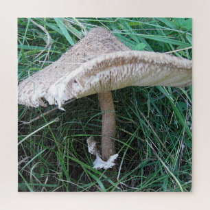 Hübscher großer Pilz Puzzle