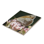 Hübscher Großschmetterling Fliese (Seite)