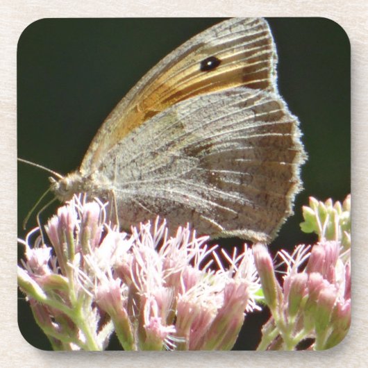 Hübscher Großschmetterling Getränkeuntersetzer (Vorderseite)