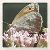 Hübscher Großschmetterling Glasuntersetzer (Vorderseite)
