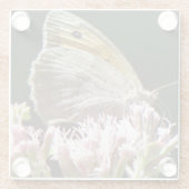 Hübscher Großschmetterling Glasuntersetzer (Rückseite)