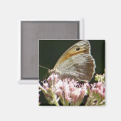Hübscher Großschmetterling Magnet (Vorderseite/Rückseite)
