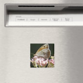 Hübscher Großschmetterling Magnet (In Situ (Geschirrspüler))