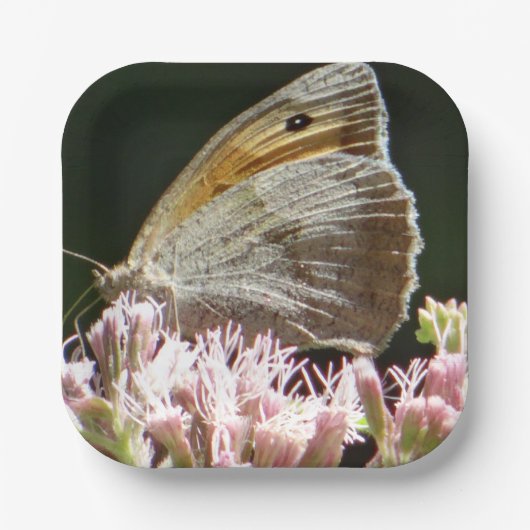 Hübscher Großschmetterling Pappteller (Vorderseite)