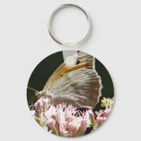 Hübscher Großschmetterling