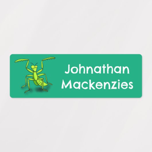 Hübscher grüner Gottesanbeter Cartoon personalisie Etiketten (Design 1)