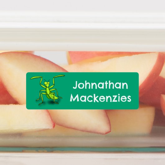 Hübscher grüner Gottesanbeter Cartoon personalisie Etiketten (Befestigt)