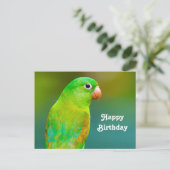 Hübscher Grüner Papagei Foto Geburtstag Postkarte (Stehend Vorderseite)