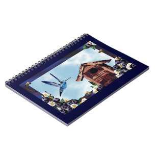 Hübscher Hummingbird, Birdhouse und Blueberries Notizblock