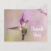 Hübscher Hummingbird, der Ihnen dankt Postkarte (Vorderseite)