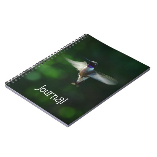 Hübscher Hummingbird im Flight Journal-Notebook Notizblock (Linke Seite)