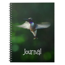 Hübscher Hummingbird im Flight Journal-Notebook Notizblock