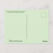 Hübscher Hummingbird Postkarte (Rückseite)