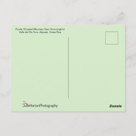 Hübscher Hummingbird Postkarte (Rückseite)