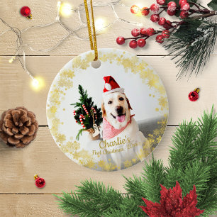 Hübscher Hund Welpe Haustier Erstes Weihnachten Ei Keramik Ornament