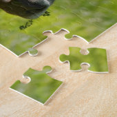 Hübscher Jersey-KuhStare Puzzle (Seite)