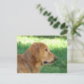 Hübscher Junge Postkarte (Stehend Vorderseite)