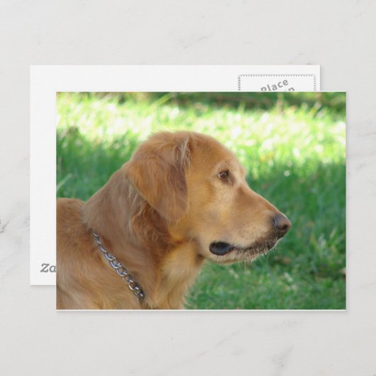 Hübscher Junge Postkarte (Vorne/Hinten)