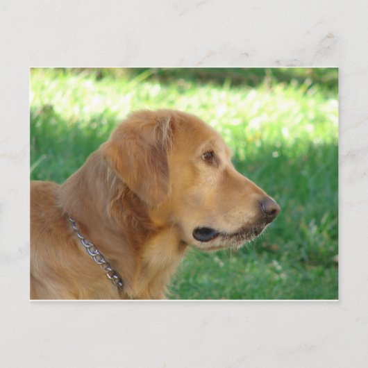 Hübscher Junge Postkarte (Vorderseite)