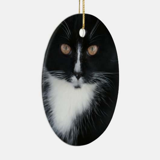 Hübscher JungeTuxedoKitty Keramik Ornament (Rechts)