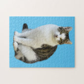 HÜBSCHER KATZJIGSAW PUZZLE (Horizontal)