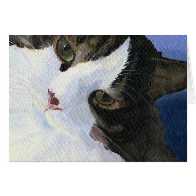 Hübscher Kitty (Vorderseite (Horizontal))