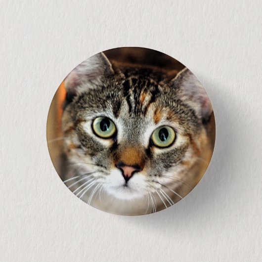 Hübscher Kitty-Katzen-Knopf Button (Vorderseite)