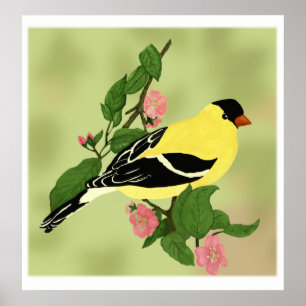 Hübscher kleiner Goldfinch-Vogel Poster