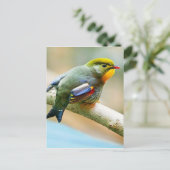 Hübscher kleiner Vogel Postkarte (Stehend Vorderseite)