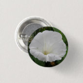 Hübscher Knopf für weißes Konvolvulum Blume Button (Vorne & Hinten)