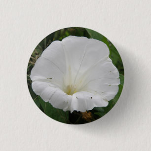 Hübscher Knopf für weißes Konvolvulum Blume Button