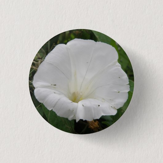Hübscher Knopf für weißes Konvolvulum Blume Button (Vorderseite)