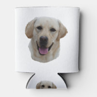 Hübscher Labrador