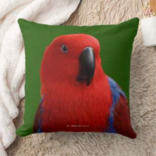 Hübscher "Lady in Red" Eclectus-Papagei Kissen