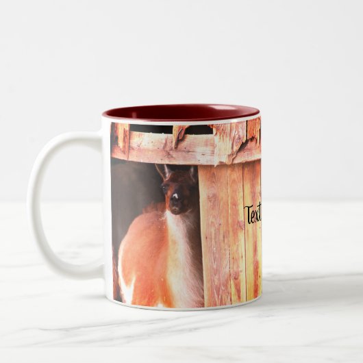Hübscher Lama-Zuchtbetrieb Personalisiert Zweifarbige Tasse (Links)