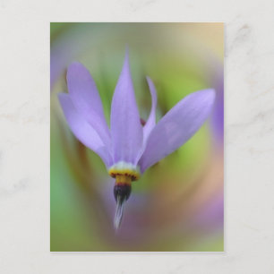 Hübscher Lavendel Lila Blume Postkarte