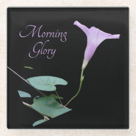 Hübscher lila Morgenglanz auf schwarz Glasuntersetzer