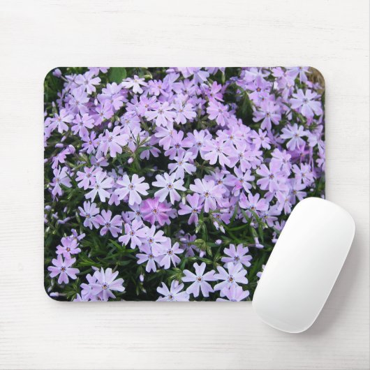 Hübscher lila Phlox Mousepad (Mit Mouse)